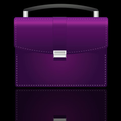 isolated business bag