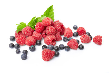 berries on white background