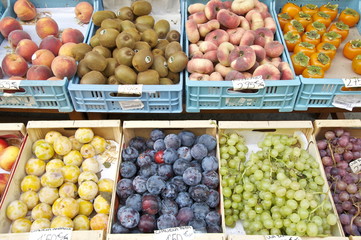 Südfrüchte in Obststiegen