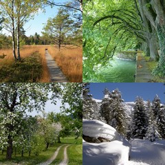 Walk through the Seasons
