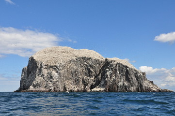 Fototapeta na wymiar Bass Rock