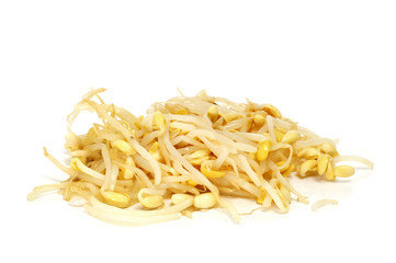 soybean sprouts