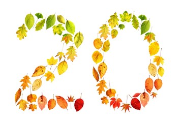 foliage 20