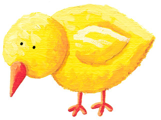 Cute little chick