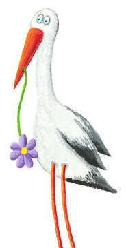 Funny stork