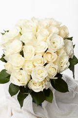Cream roses