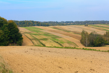Fototapeta na wymiar Autumn rural landscape
