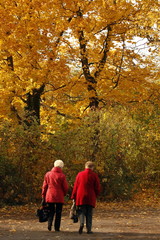 Fototapeta premium Herbst, Paar im roten Mantel