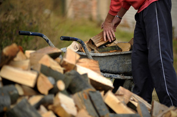 logs for firewood_4