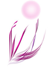 mit Leichtigkeit zum Erfolg