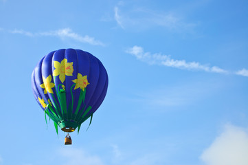 Flowered Hot Air Balloon
