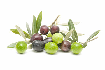 variety of olives