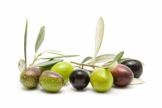 variety of olives