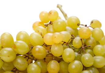 Ripe grapes