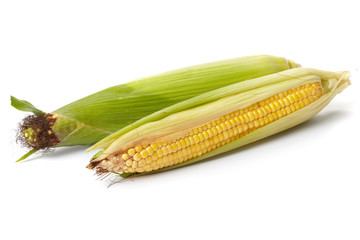 Fresh corn vegetable