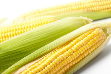 Fresh corn vegetable