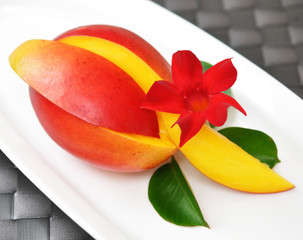 Mango, Blume