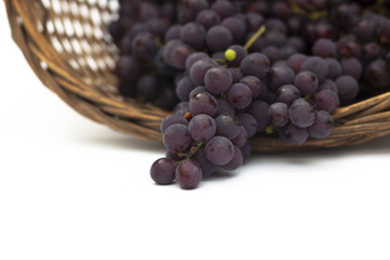 basket full of grapes