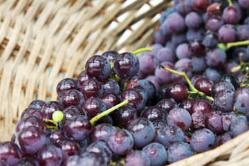 basket full of grapes