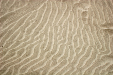 ripples in the sand