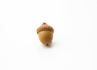 Ghianda