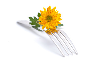 Fototapeta na wymiar flower and fork isolated on a white background