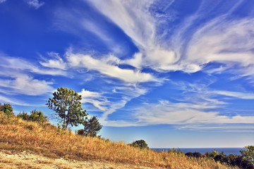 Obraz premium Beautiful clouds over the sea