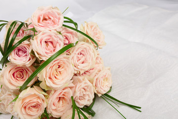 beautiful roses