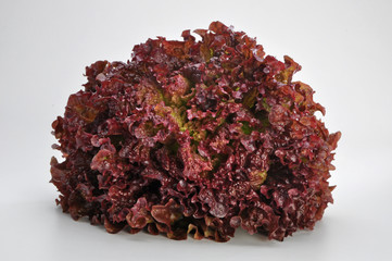 Salat © Herman Herrmann