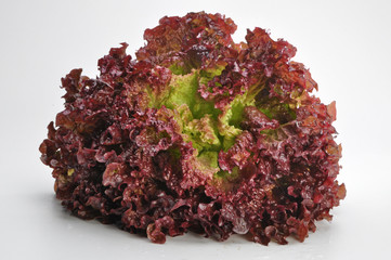 Salat © Herman Herrmann