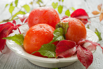 persimmon with leaf-cachi