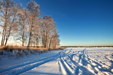 Fototapeta na wymiar Winter field under blue sky