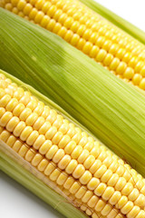 Fresh corn vegetable