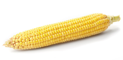 Fresh corn vegetable