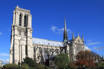 Obraz premium Notre dame - Paris
