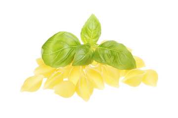 Conchiglie pasta and basil against white