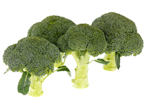 Broccoli