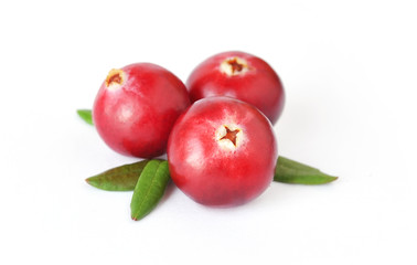 Uncultivated forest cranberries isolated on white background