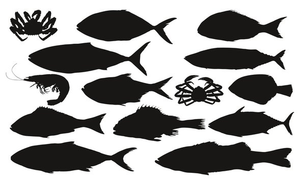 fisch und krebse vektor
