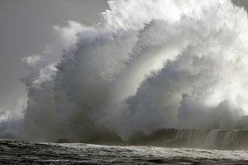 Obraz premium Perfect storm, the wave