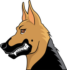 Agressive german shepherd dog