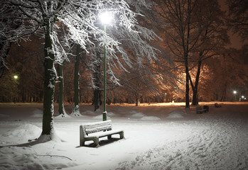 Winter park at night - 27157597