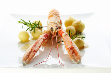 Norway lobster with young potato