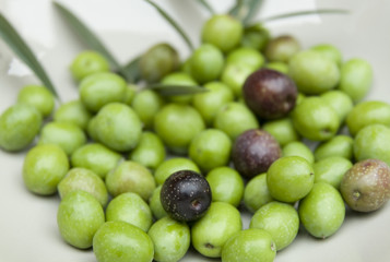 cueillette des olives