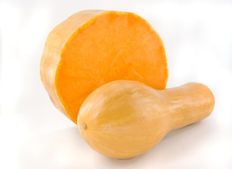 pumpkins