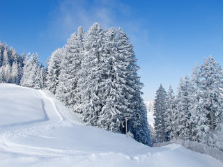 Winter in alps