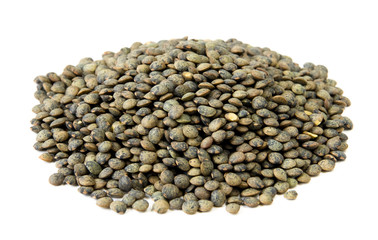 Lentil