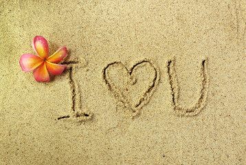 i Love you in the sand