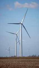 Fototapeta premium Wind Turbines