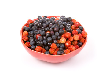 Wild strawberries and blueberries